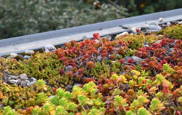 the cost of Codicote green roof installation