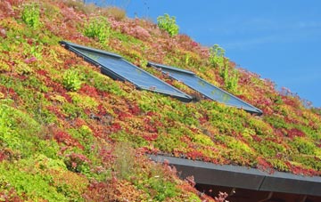 Codicote living roof systems