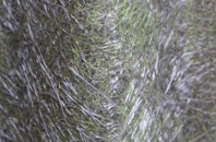 Codicote fibreglass roof work